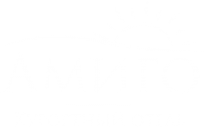 Амиго